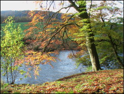 Autumn Colours