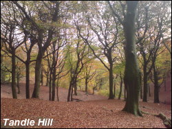 Tandle Hill