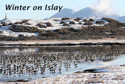 Winter on Islay