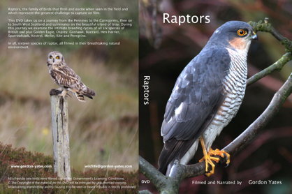 Case Cover Raptors