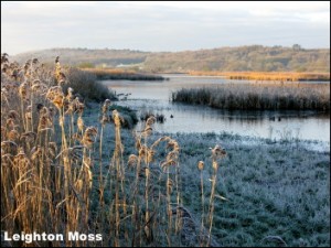 Leighton Moss