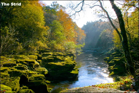 The Strid